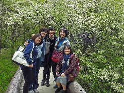 コース案内 夏 Of Sanbonmatsu Chaya