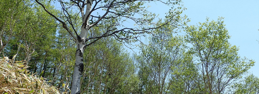 img20160525123132842999.jpg