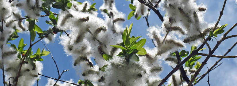 dscn1902.jpg