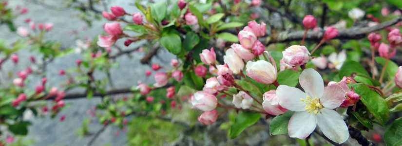 dscn2546.jpg