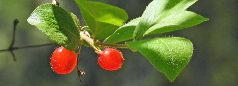 dscn3726.jpg