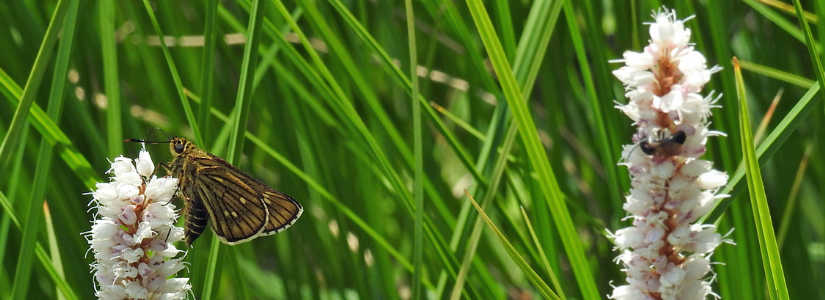 dscn3636.jpg