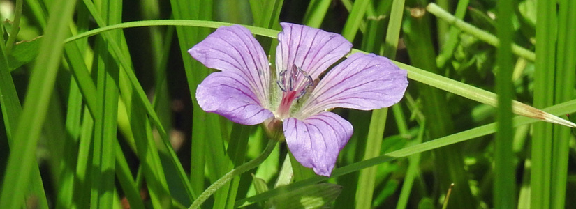 dscn3630.jpg