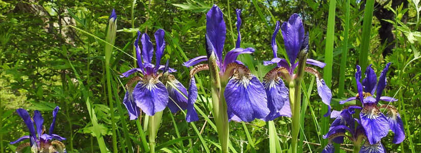 dscn3719.jpg