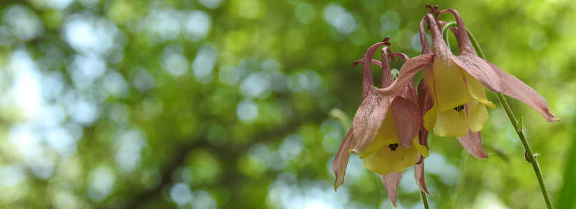 dscn4183.jpg
