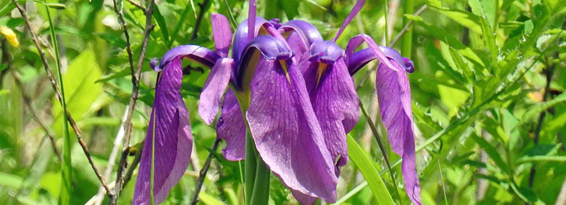 dscn3996.jpg