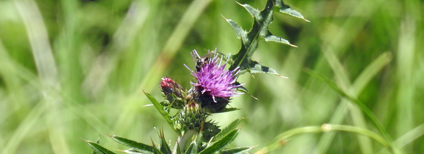 dscn4068.jpg