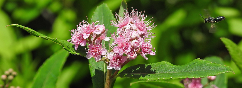 dscn4085.jpg